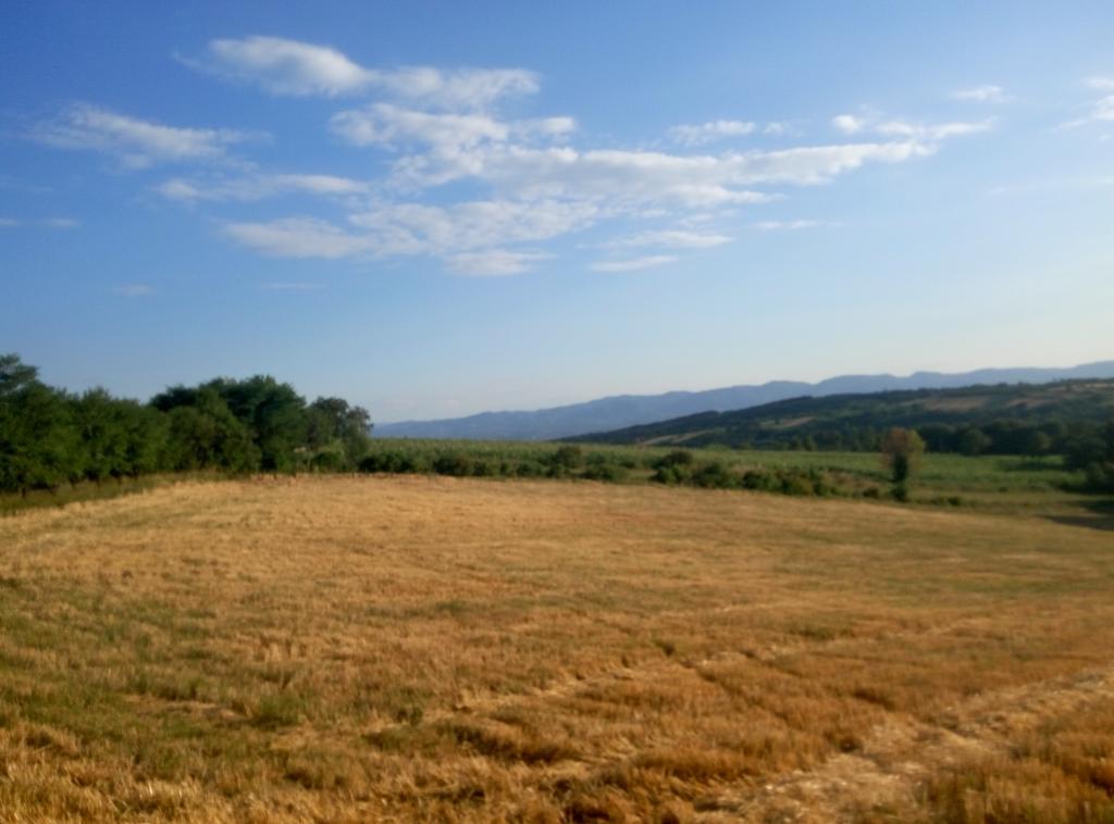 Guesthouse Edelnice Gornja Trepča Exterior foto